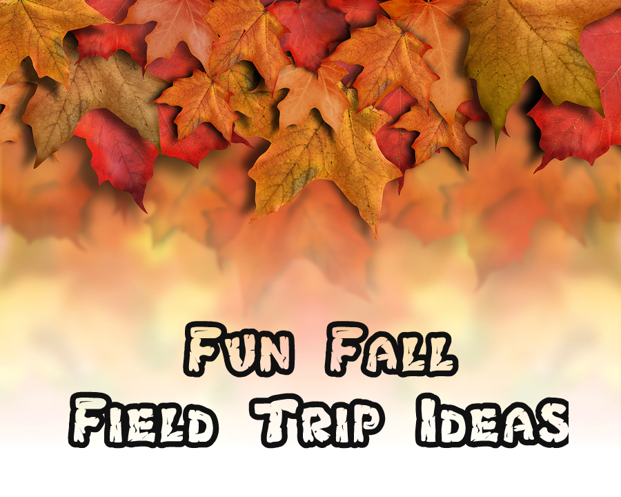 Fun Fall Field Trip Ideas