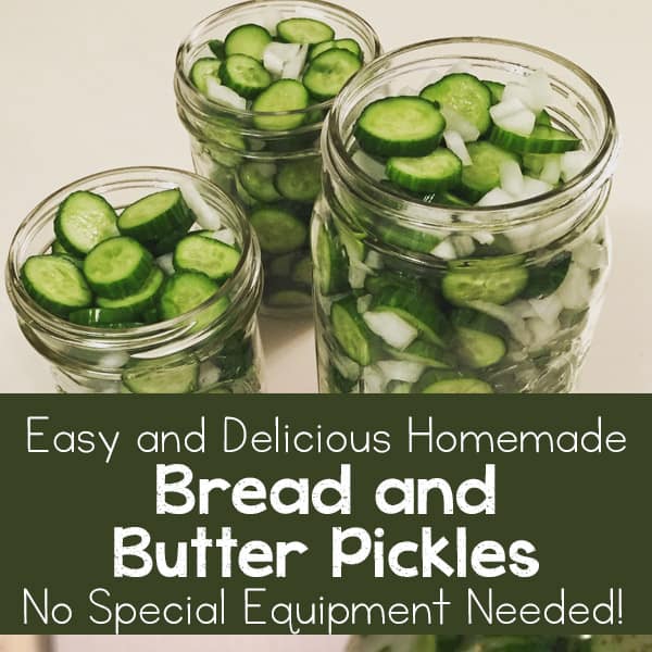 Easy and Delicious Homemade Bread and Butter Pickles Recipe (no special equipment needed!) | Real Life at Home