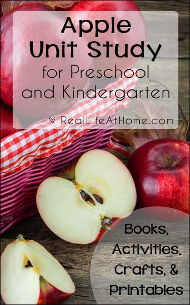 Apple Unit Study for Preschool and Kindergarten {Includes ideas for books, activities, crafts, and printables} | RealLifeAtHome.com