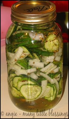 Delicious Bread and Butter Pickle Recipe (Quick and Easy)