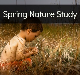 Spring Nature Study