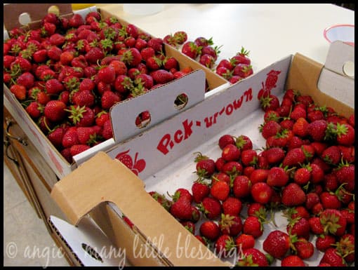 carton_of_strawberries