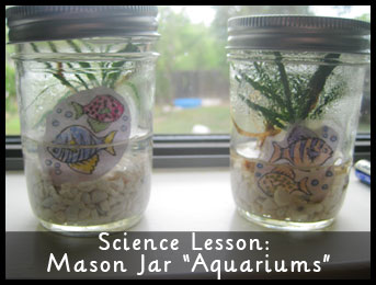 Science Lesson: Mason Jar Aquariums