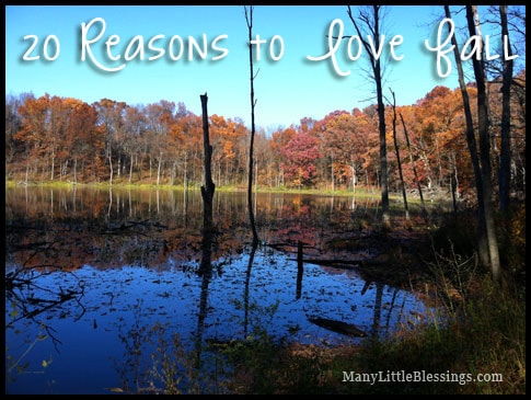 20 reasons to love fall