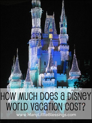 How much does a Disney World trip cost