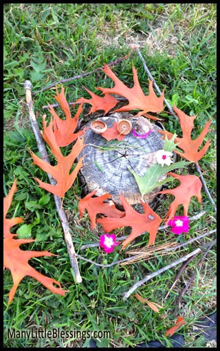 A small fairy habitat on a tree stump