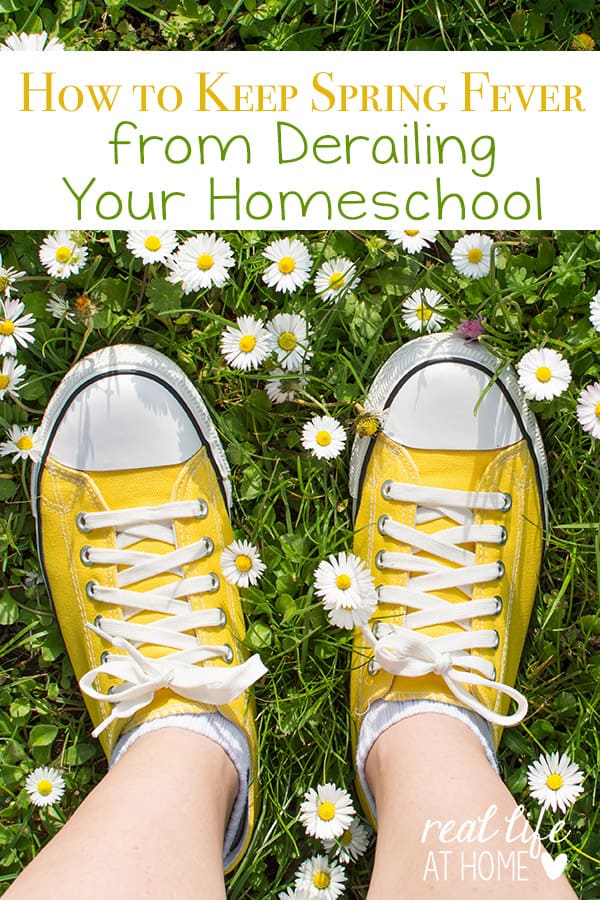 Has spring fever struck at your house? Here are some tips for keeping spring fever from derailing your homeschool with practical ideas everyone can enjoy. | Real Life at Home