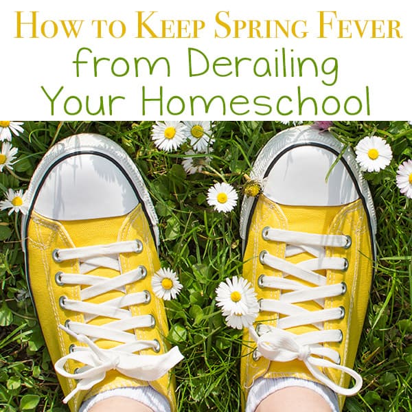 Has spring fever struck at your house? Here are some tips for keeping spring fever from derailing your homeschool with practical ideas everyone can enjoy.