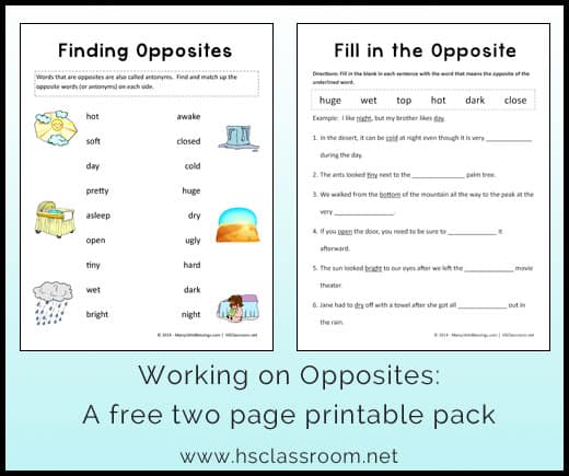 Opposites Worksheet Packets