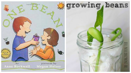 gardening books for kids growing beans