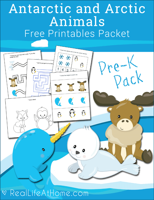 Free Antarctic and Arctic Animals Printables Packet for preschool children featuring line tracing, visual discrimination, counting, coloring, and more. #preschool #printables #ArcticAnimals #PolarAnimals