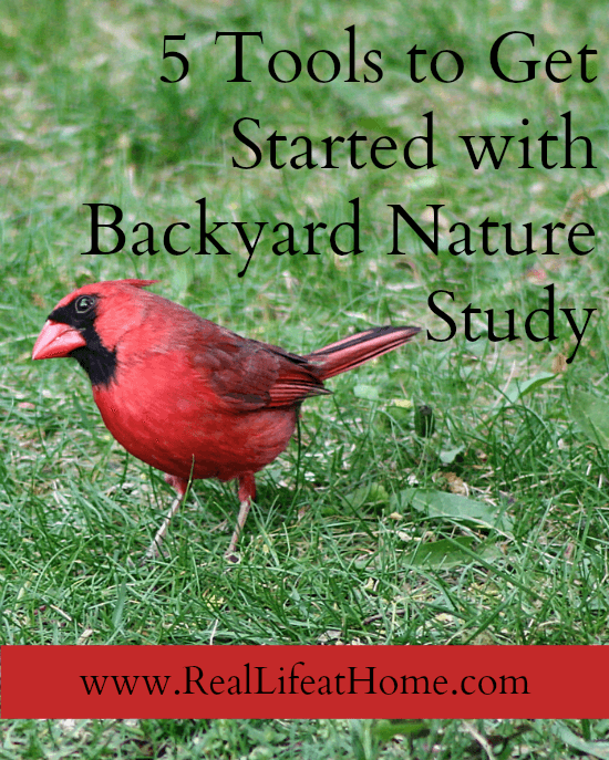 5 Tools to Help You Get Started with Backyard Nature Study 