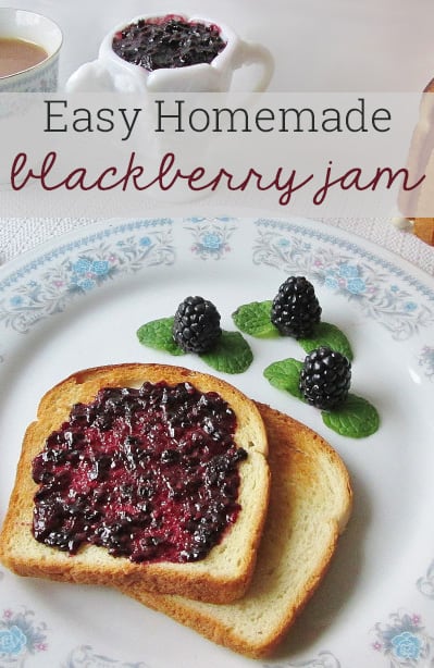 Easy and Delicious Homemade Blackberry Jam {No Special Equipment Required!}