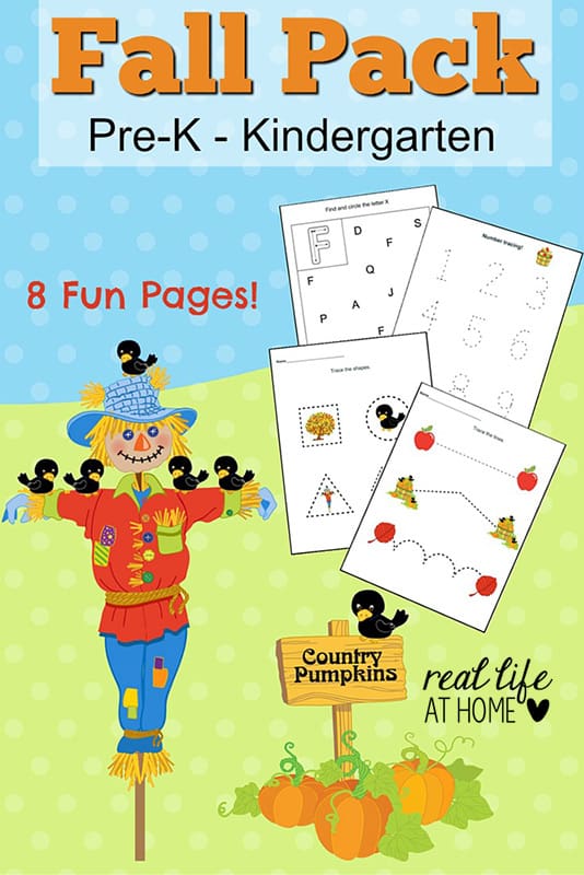 Looking for some fall worksheet fun for your preschooler or kindergartner? Click through to get the instant downloadable fall printables for preschoolers and kindergartners! | Real Life at Home