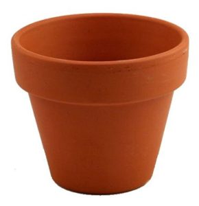 Set of 5 - 6" Clay Pots - Great for Plants and Crafts
