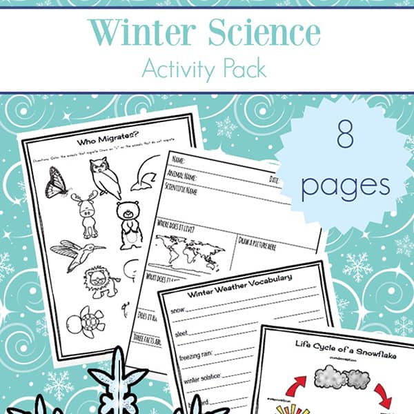 Free printable eight page winter science worksheets packet which includes many items needed for some winter science activities such as printables about animal hibernation and migration, animal mini report recording sheet, winter nature report, winter vocabulary definitions page, snowflake lifecycle page, and more | Real Life at Home #WinterScience #WinterWorksheets #ElementaryScience