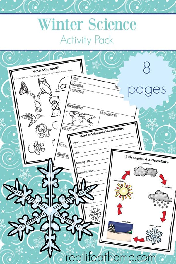 Free printable eight page winter worksheets and printables packet which includes many items needed for some winter science activities: printables about animal hibernation and migration, animal mini report recording sheet, winter nature report, winter vocabulary definitions page, snowflake lifecycle page, and more | Real Life at Home #WinterScience #WinterWorksheets #ElementaryScience