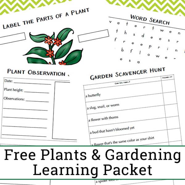 Free Garden and Plant Worksheets for Kindergarten - 2nd Grade. This plant learning packet features a plant observation journal page, plant labeling, a garden scavenger hunt, a garden and plant themed word search, and more.