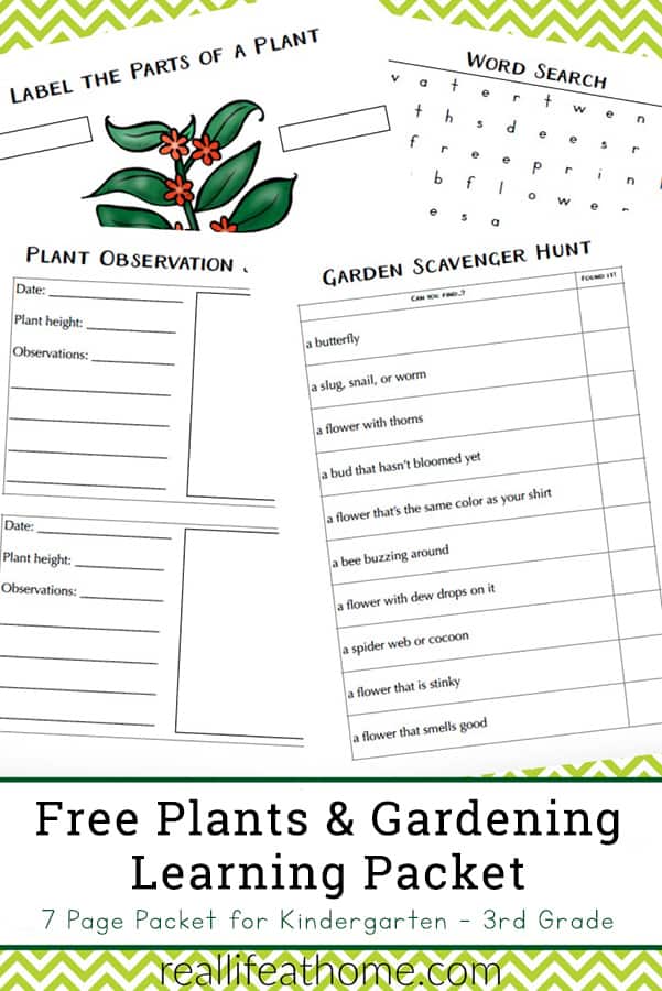 Free Plants and Gardening Learning Packet for Kindergarten - 2nd Grade