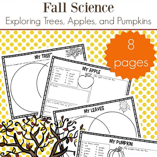 Free fall science worksheets packet focusing on trees, apples, and pumpkins. Fall is a great time to explore nature and this free learning packet for elementary-aged kids will help.