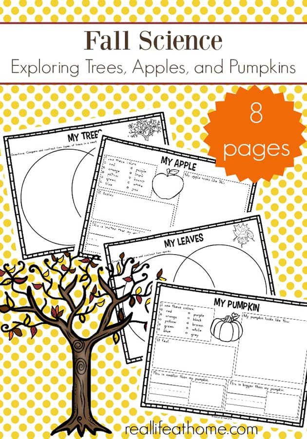 Free fall science worksheets packet focusing on trees, apples, and pumpkins. Fall is a great time to explore nature and this free learning packet for elementary-aged kids will help.