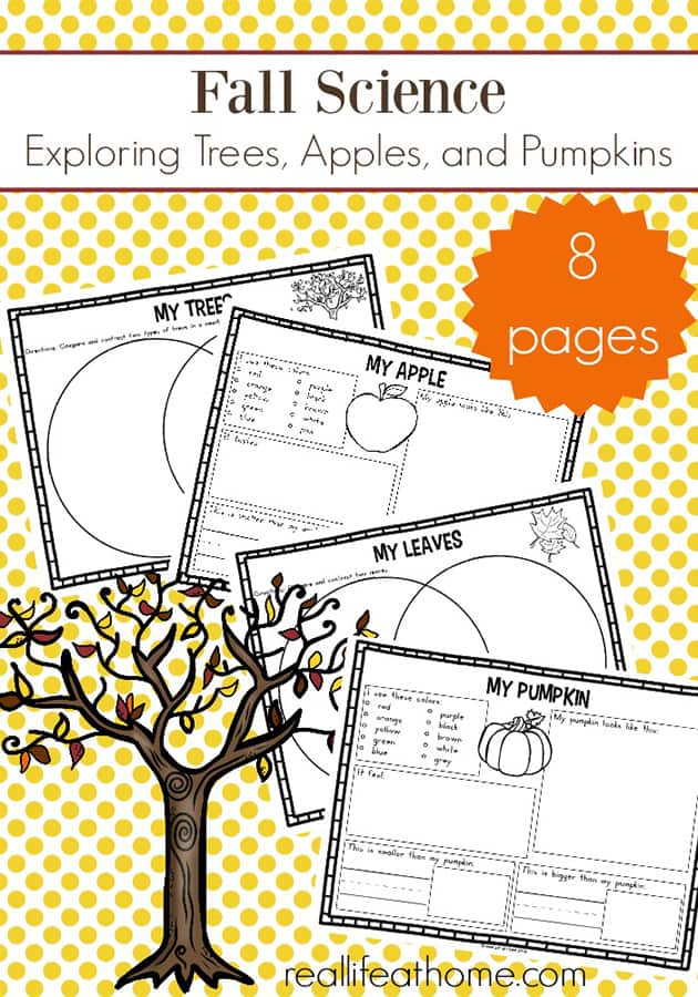 Science worksheet for kindergarten