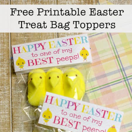 Cute Free Printable Toppers for Easter Treat Bags