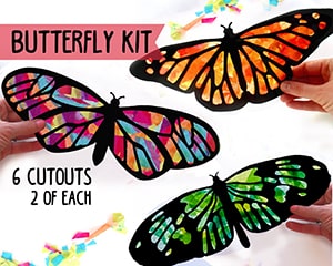 Butterfly Kit from HelloSprout on Etsy