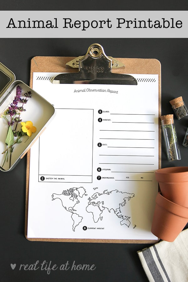 Free Science Printable Animal Report Template For Kids free-science-printable-animal-report-template-for-kids