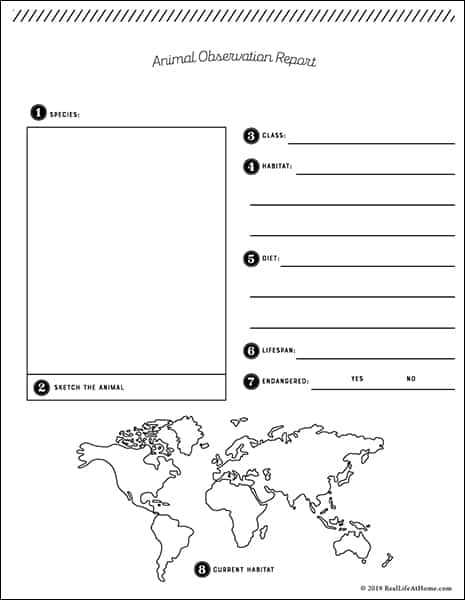 Free Printable Animal Report Template from Real Life at Home