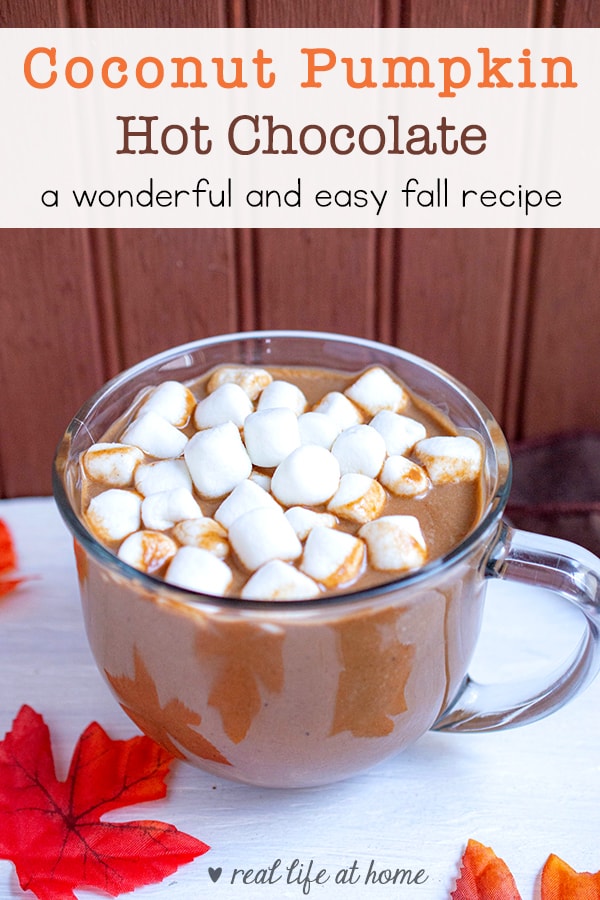 Enjoy the taste of fall and a dairy-free hot chocolate option when you make this quick and easy homemade coconut pumpkin hot chocolate recipe.