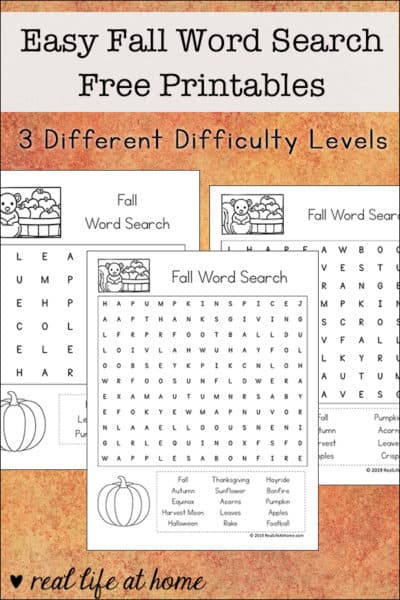 Owl Word Search Printable - Easy Word Find for Kids