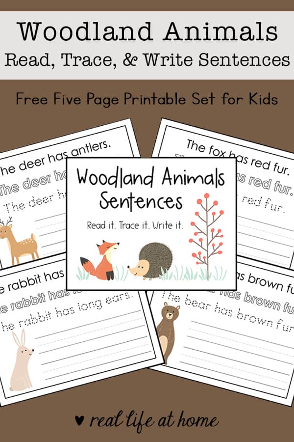 This woodland animals copywork read, trace, and write packet is a great way to work on reading and writing for kids. The packet is 7 pages and perfect for preschool - 2nd grade.