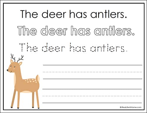Deer Handwriting Page (from free Woodland Animals Handwriting Packet)
