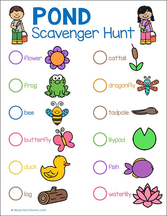 Pond Scavenger Hunt Printable