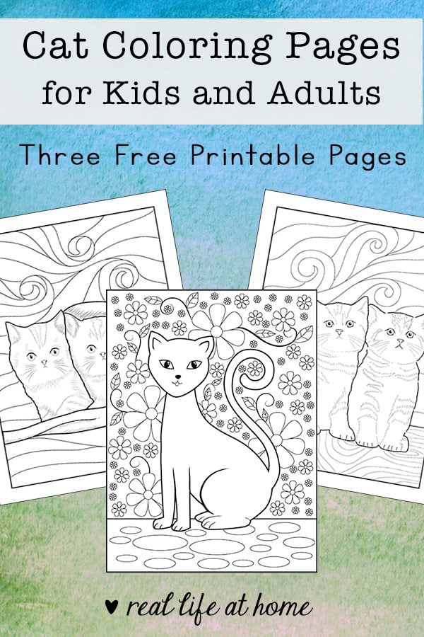 cat coloring pages for kids and adults 3 free printables