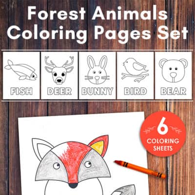 Forest Animals Coloring Pages Set