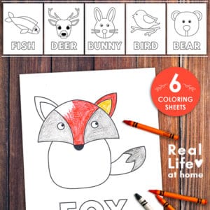 Forest Animals Coloring Pages Set
