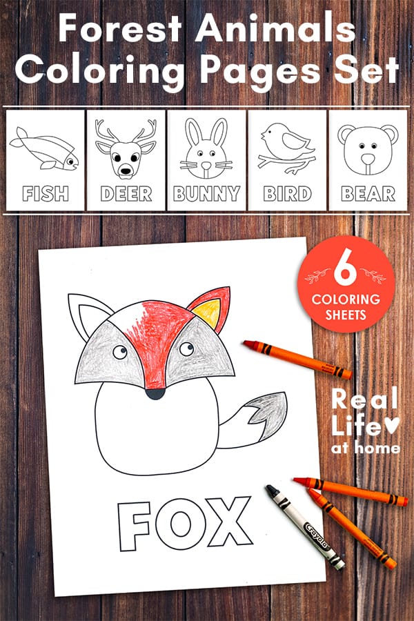 Forest Animals Coloring Pages Set