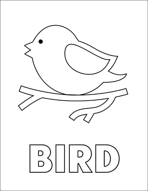 bird coloring page