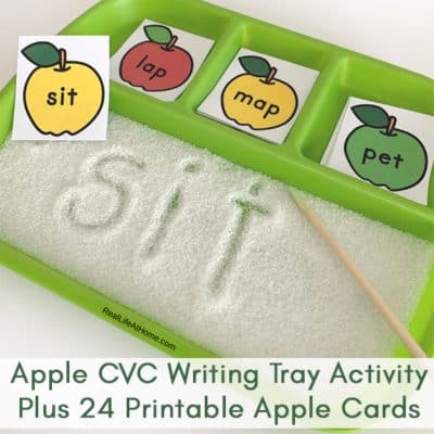 Apple CVC Writing Tray Activity