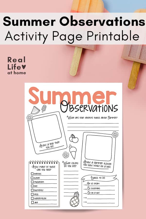 Summer Nature Study Activity Page