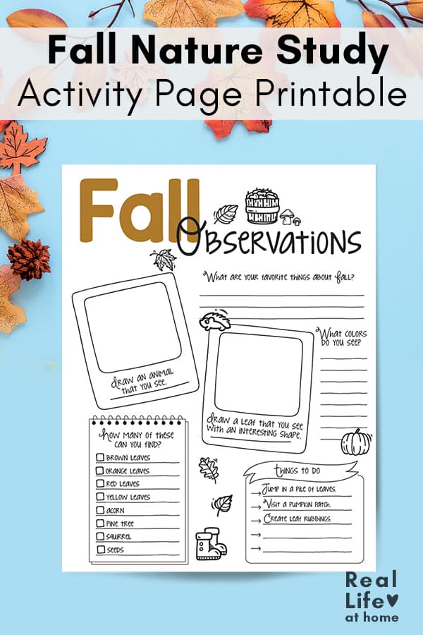 Fall Nature Study Activity Page Printable