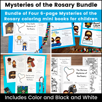 Mysteries of the Rosary Mini Books Bundle Set
